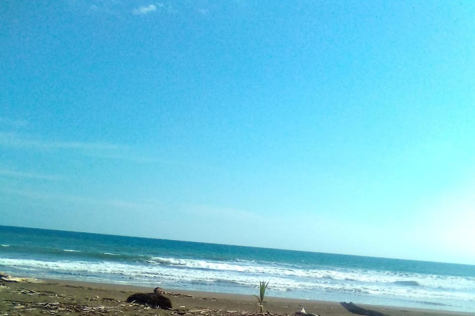 Natural landscape, Beach