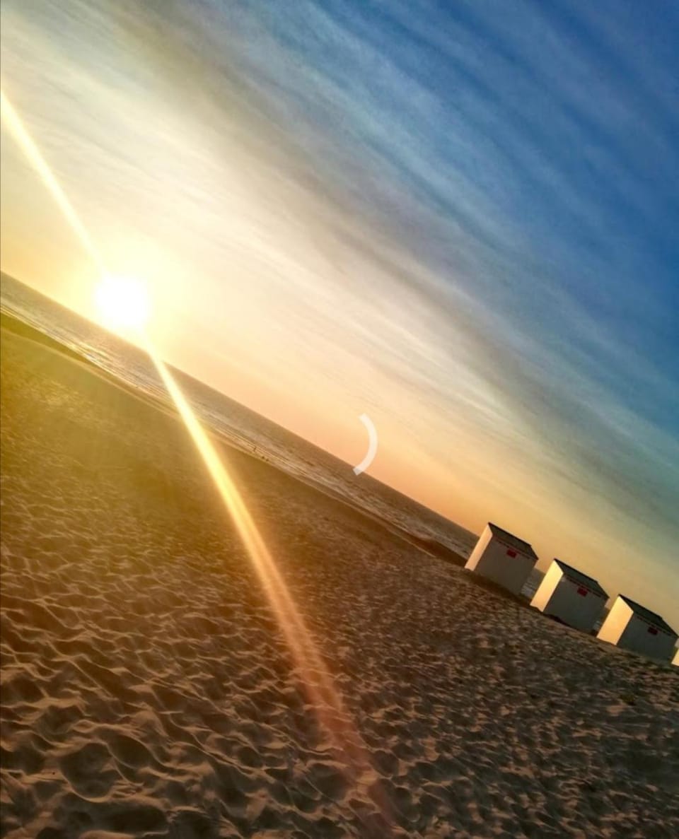 Crèmebol Apartment in Koksijde