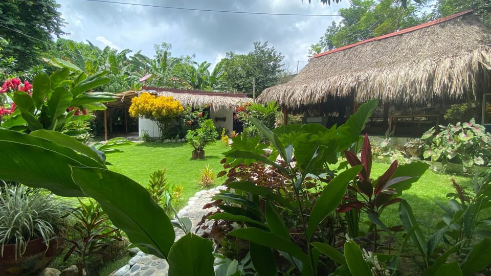 Garden, Garden view