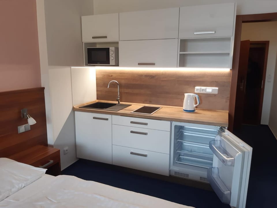 Apartmán Wellness hotel Frymburk Apartment in South Bohemian Region
