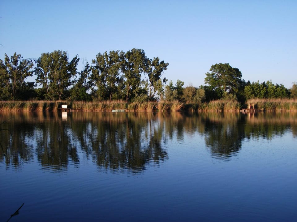 Natural landscape