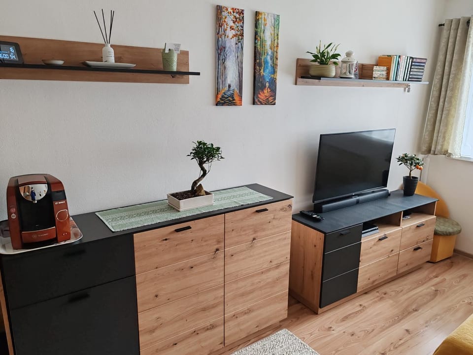 TV and multimedia