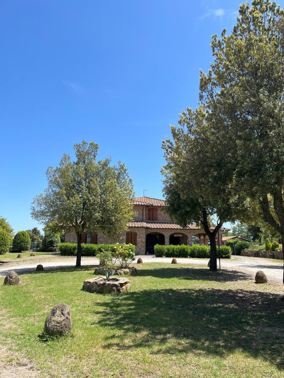Natural landscape, Garden, Garden view