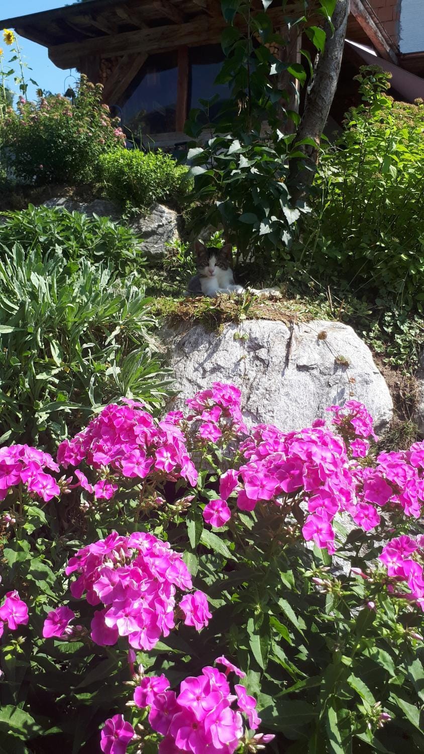 Natural landscape