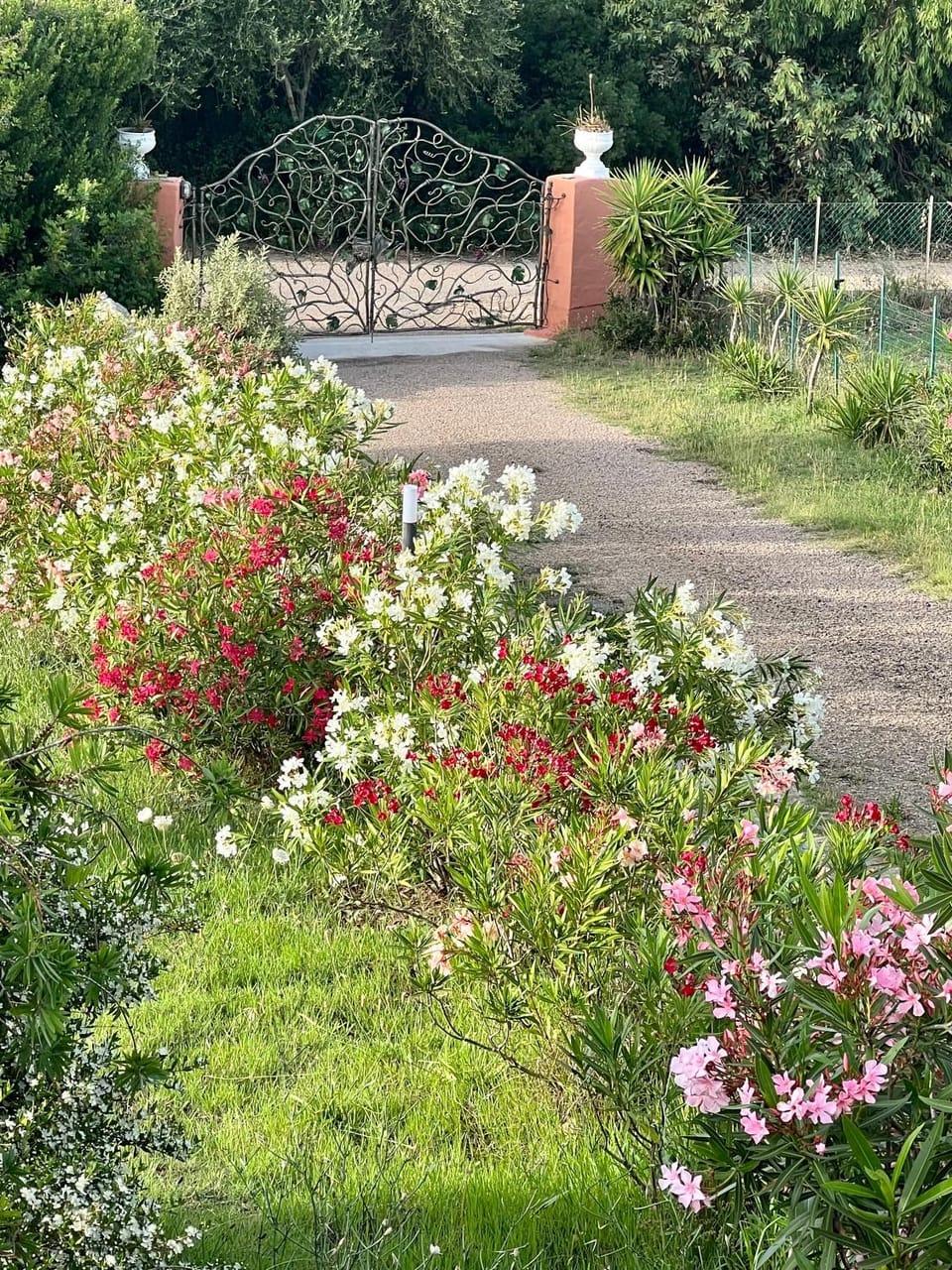 Garden view