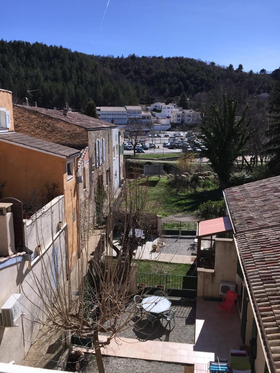 Garden view