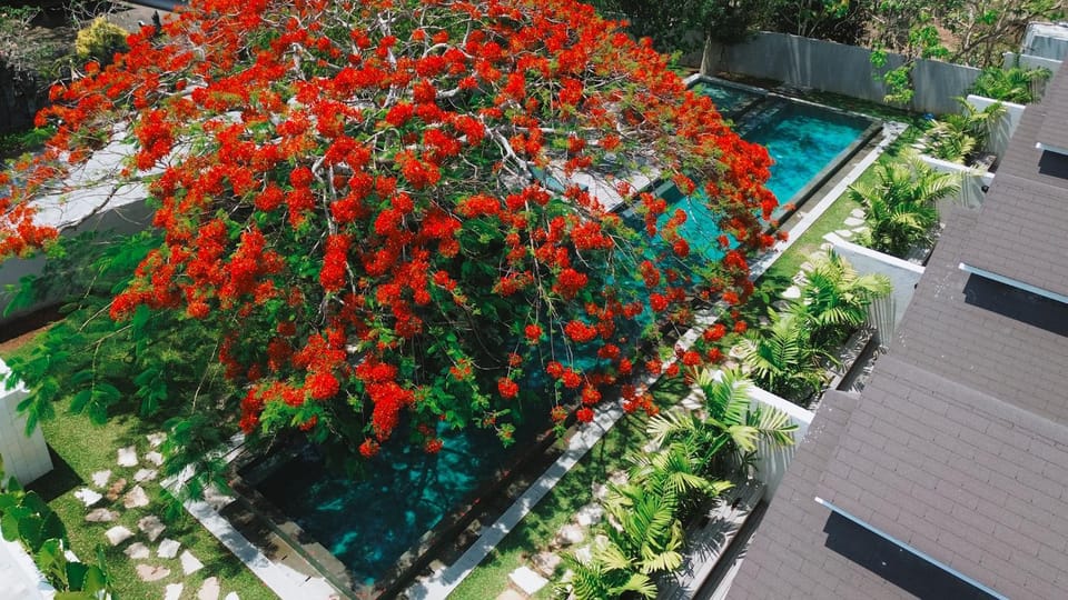 Bird's eye view, Pool view, Swimming pool, Swimming pool