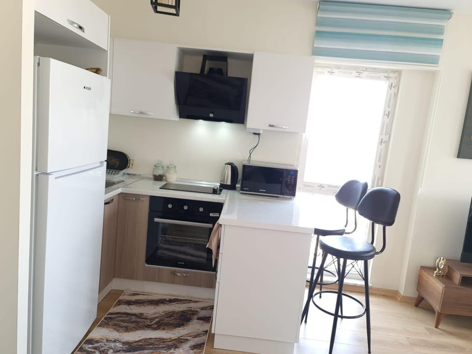 Kitchen or kitchenette, Dining area, oven