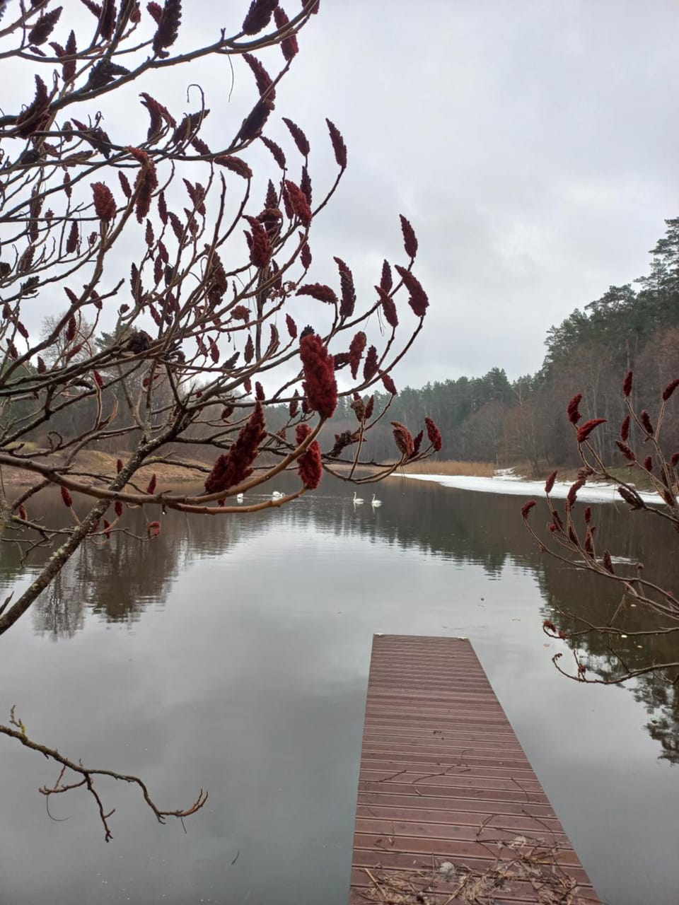 Lake view