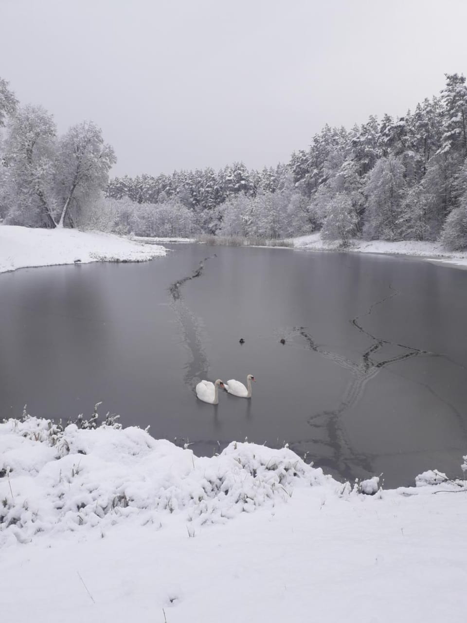 Natural landscape