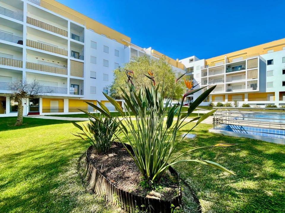 Garden, Swimming pool