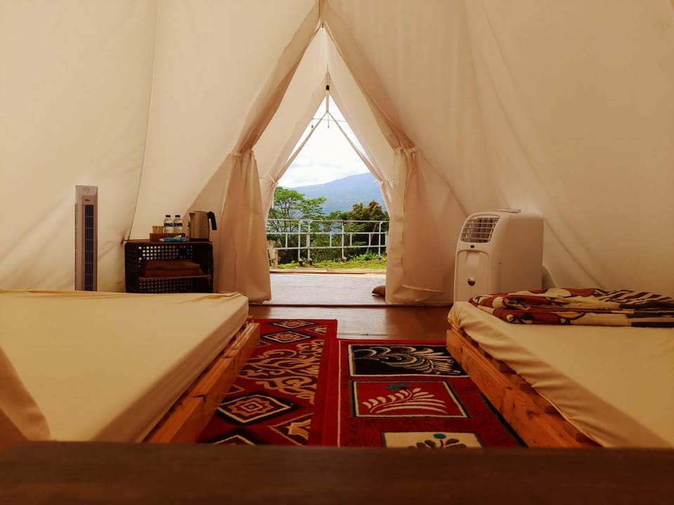 Bed, View (from property/room)