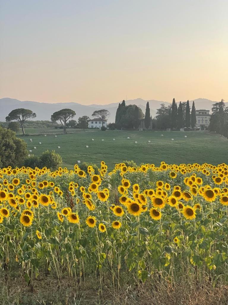 Property building, Natural landscape, Summer, Mountain view, Mountain view, Sunset