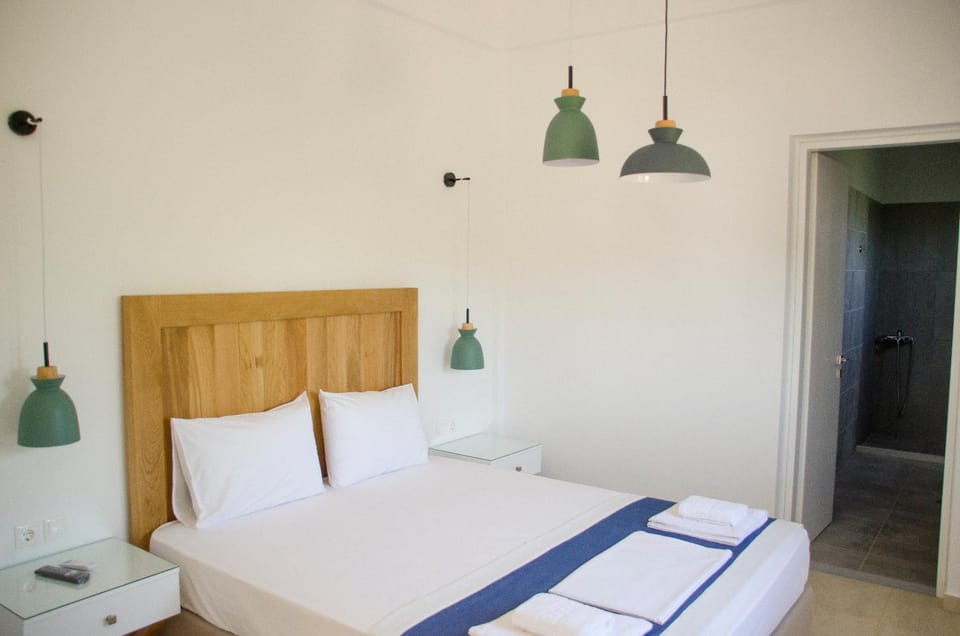 Villa Dimitris House in Lasithi