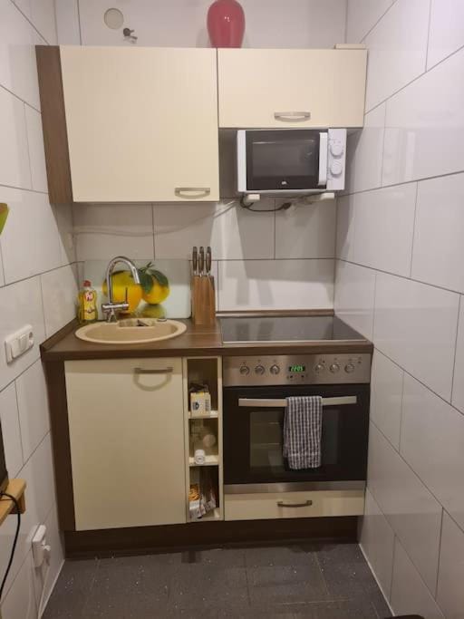 Elegant and Quiet Apartment in Wiesbaden