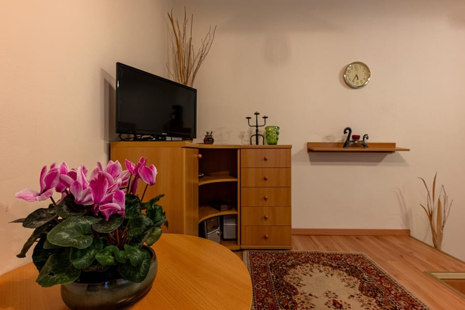 a quiet studio in the heart of the city Apartment in Budapest