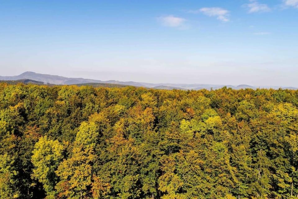 Behagliches Cottage mit Kamin mitten im Wald House in Austria