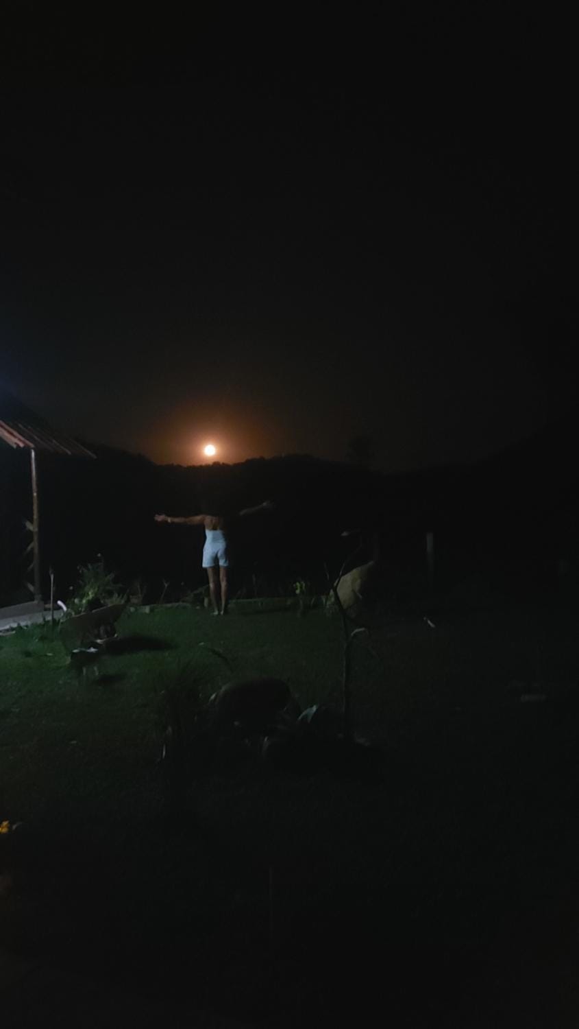 Night
