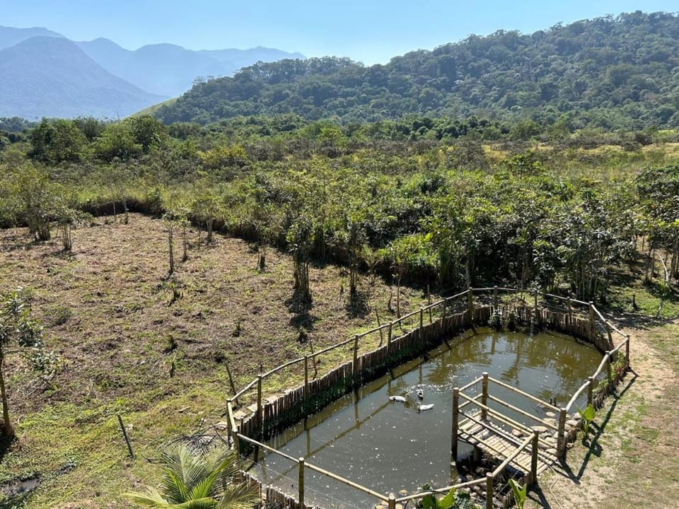 Pousada Camping dos Ypês Bed and Breakfast in State of Rio de Janeiro