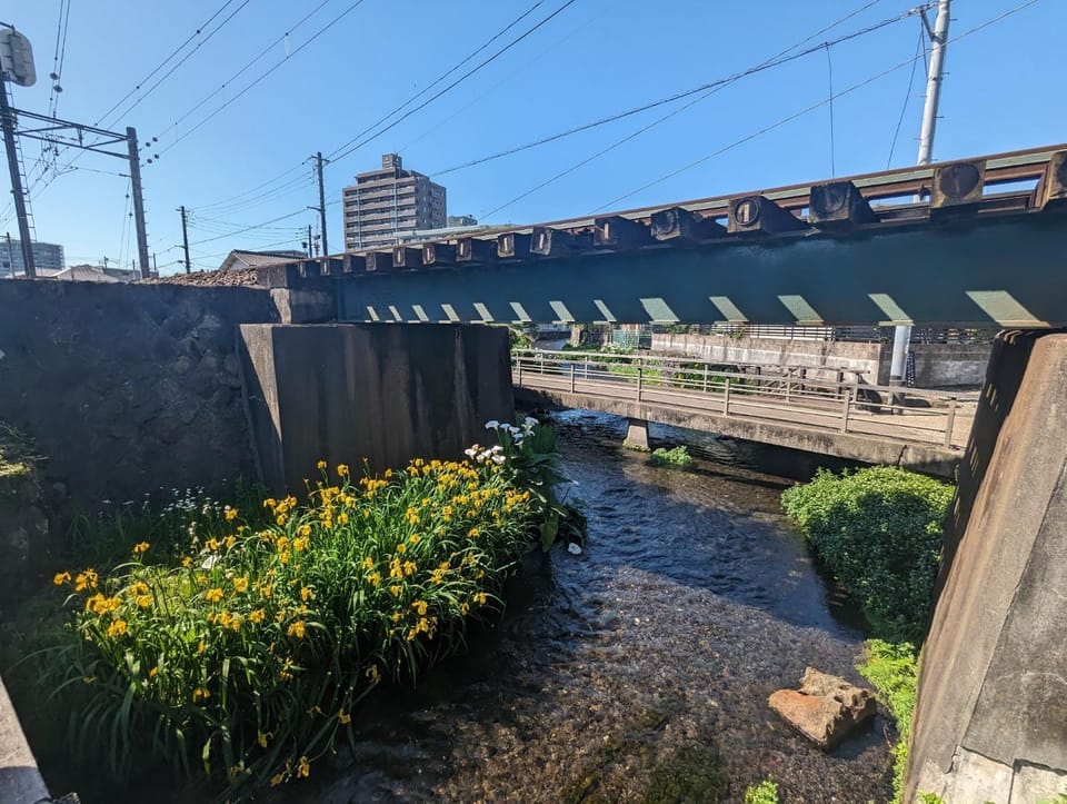 Guesthouse giwa - Vacation STAY 14269v Hotel in Shizuoka Prefecture