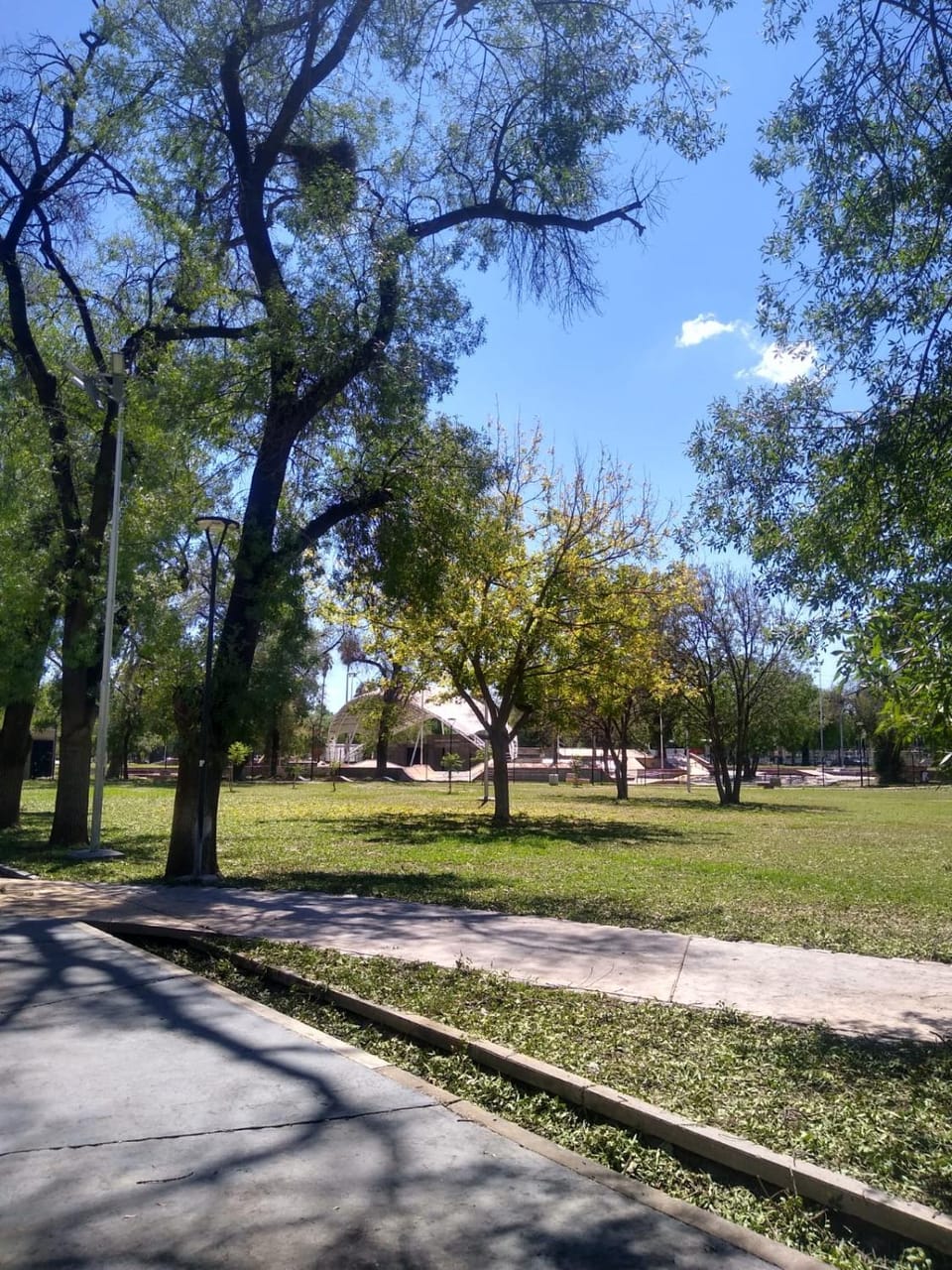 Day, Garden view