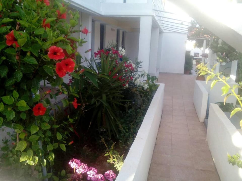 Facade/entrance, Balcony/Terrace