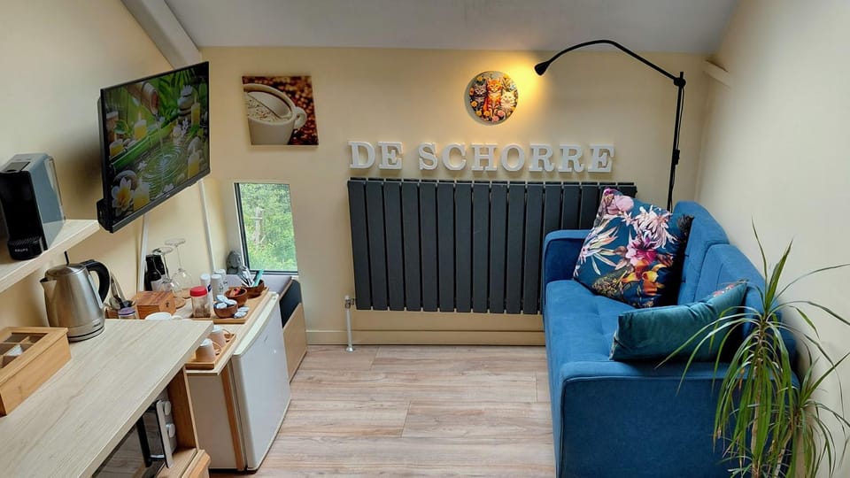 TV and multimedia, Coffee/tea facilities, Decorative detail, Seating area, internet, microwave, minibar
