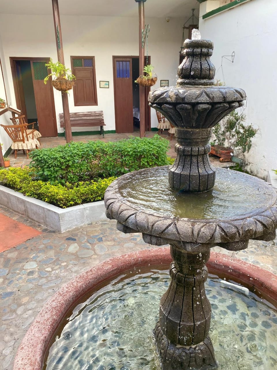Patio, Garden