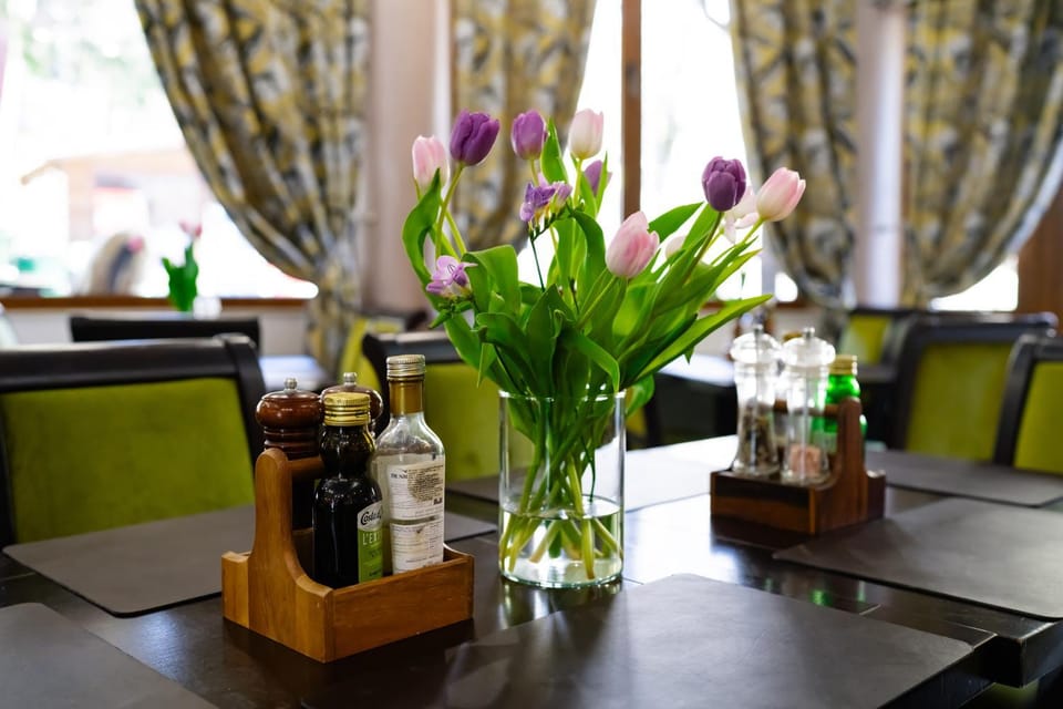 Pensiunea Izvoare Olanesti 3*** Bed and Breakfast in Romania