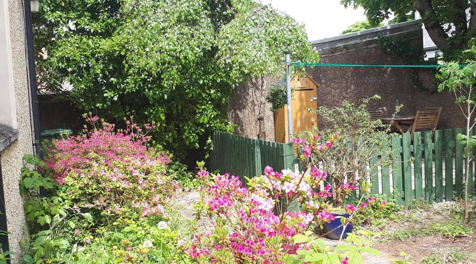 Patio, Garden