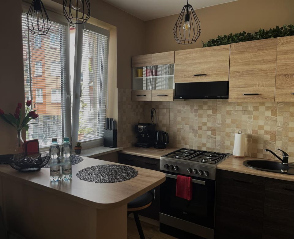 Coffee/tea facilities, Kitchen or kitchenette, minibar, pet friendly, stove, kitchen