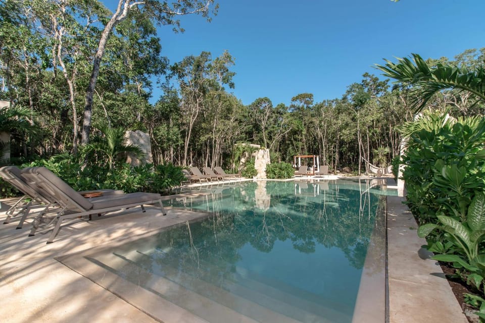 Pool view, Swimming pool