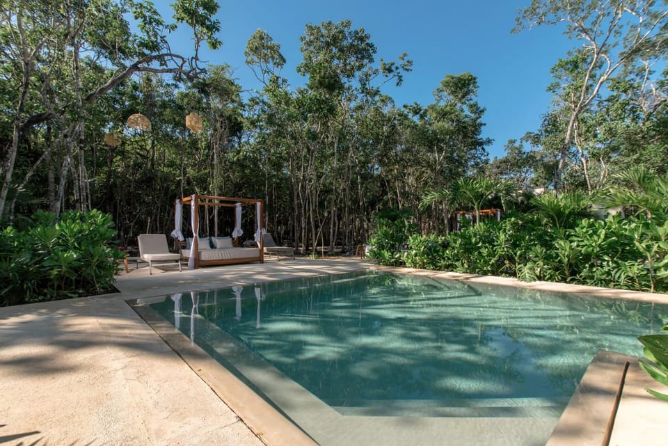 Pool view, Swimming pool