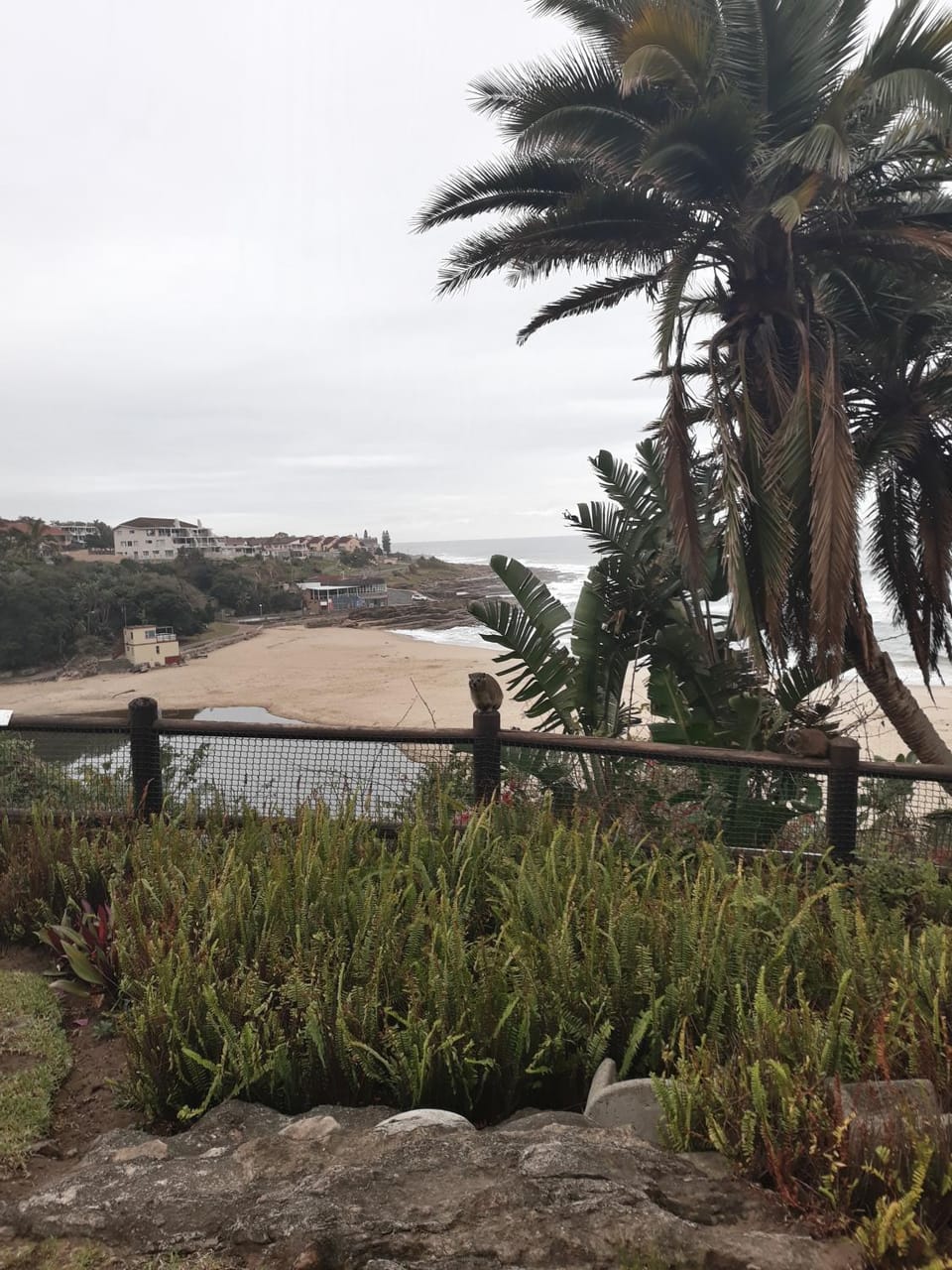 Sea view