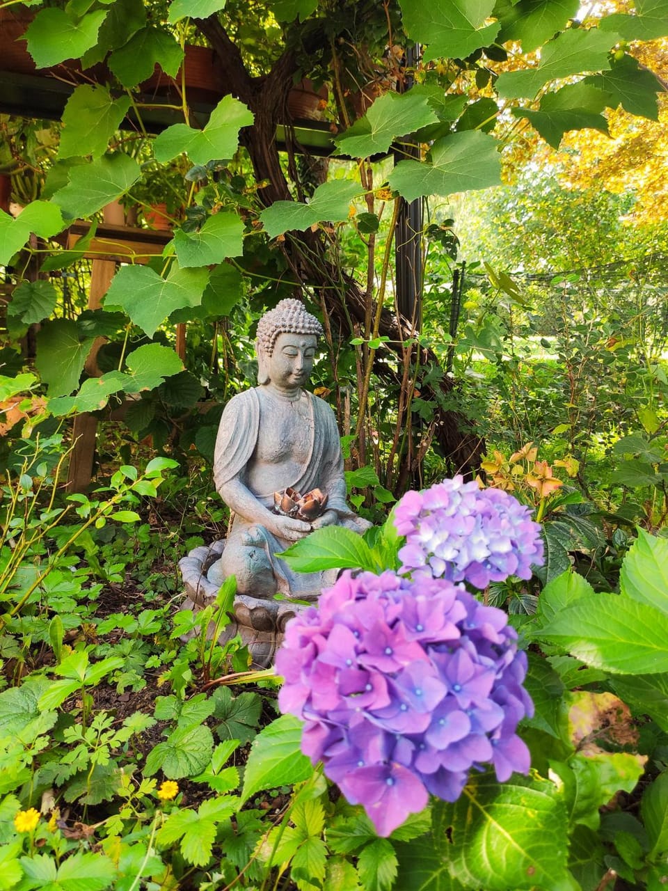 Spring, Day, Garden, Garden view