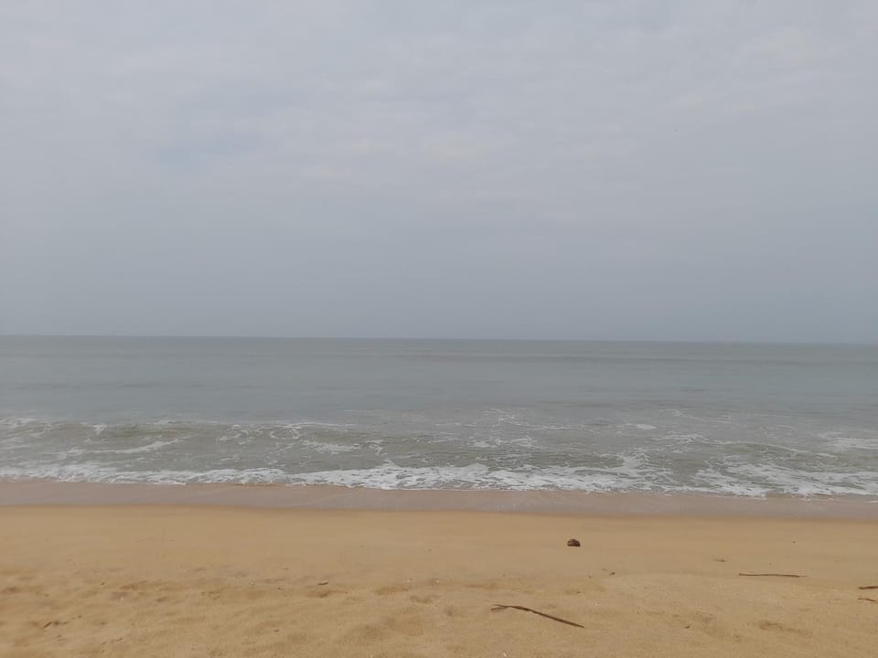 Oceangreen cottage Apartment in Kerala