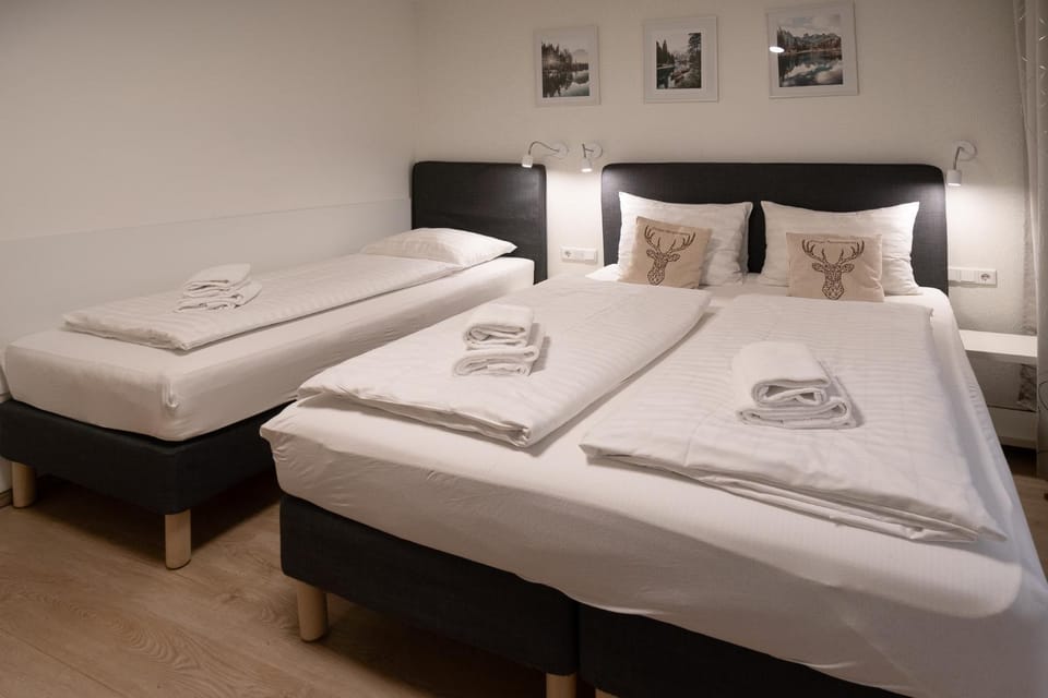 Apartment Ludvig Zell am See - Kaprun with spacious terrace Apartment in Piesendorf