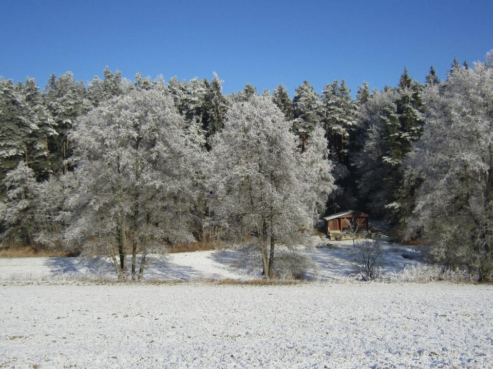 Natural landscape, Winter, View (from property/room)
