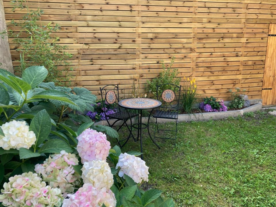 Patio, Spring, Day, Garden view