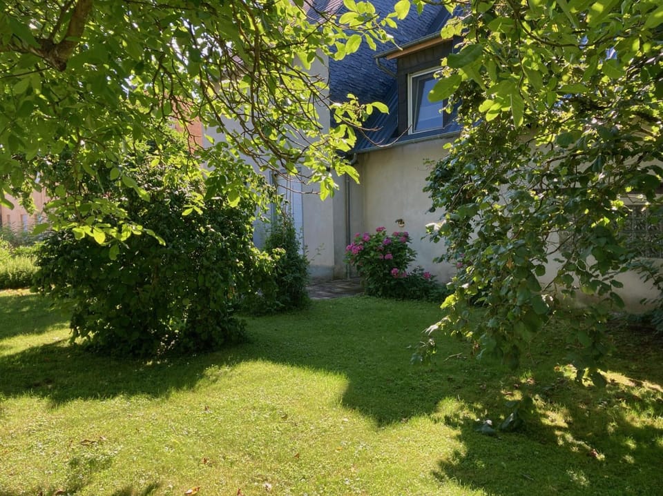 Spring, Day, Garden, Garden view