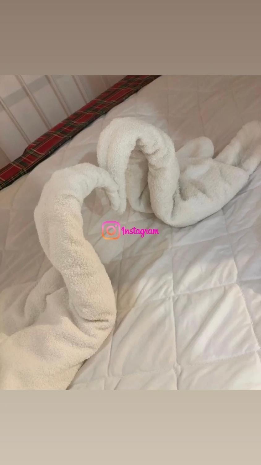 SALAMON GUEST HOUSE Apartment in Lido di Venezia