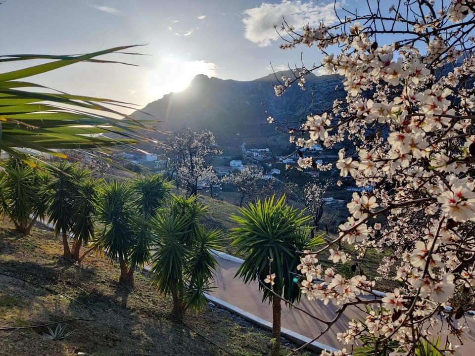 Spring, Winter, Mountain view
