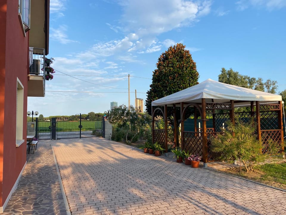 Patio, Garden