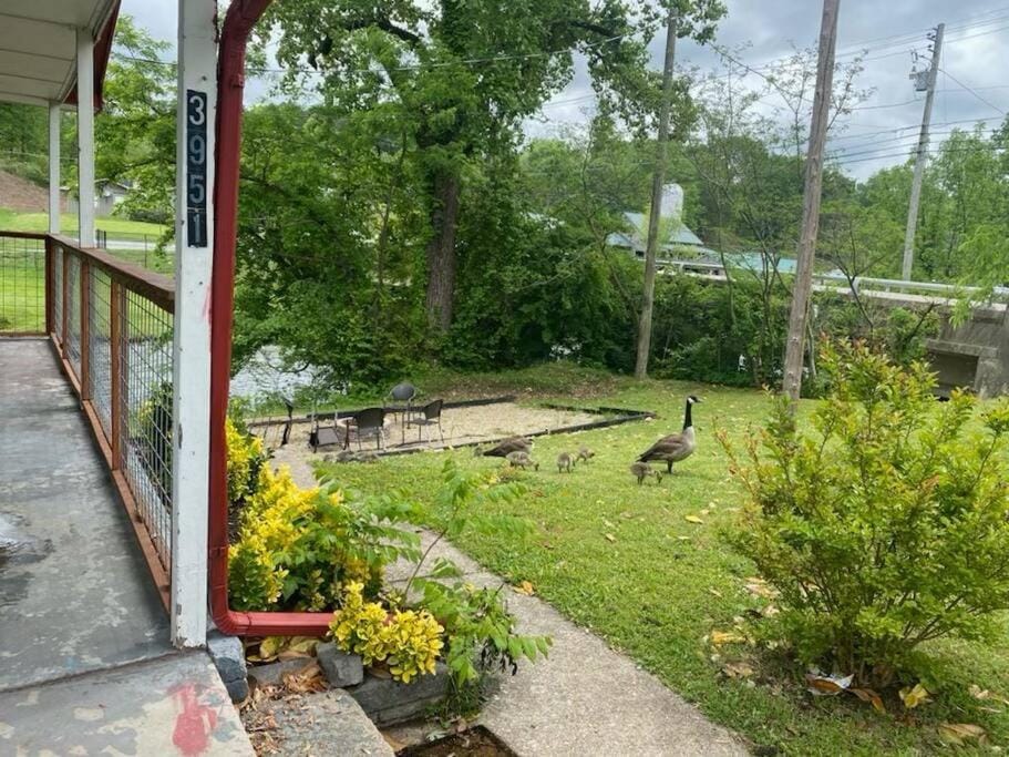 Big Bear River House, Outdoor Grill, River Access, 3 Beds House in Pigeon Forge