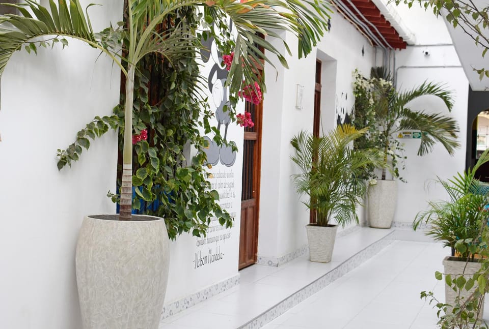 Patio, Day, Garden, Garden view