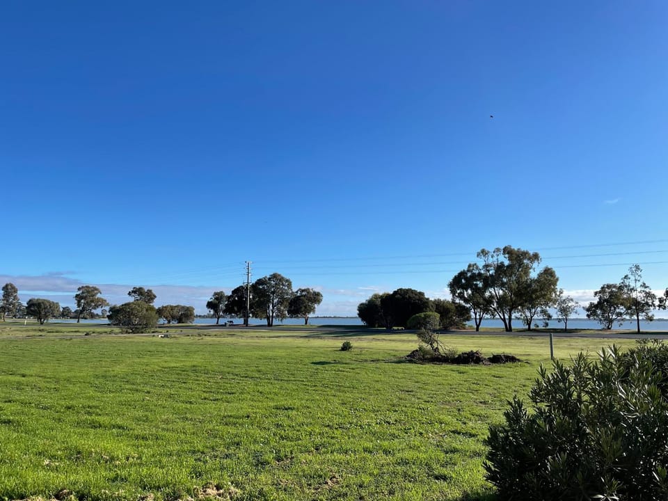 Lake view