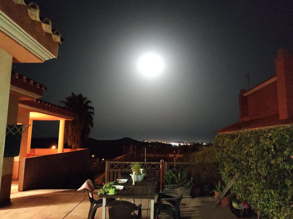 Night, Garden view