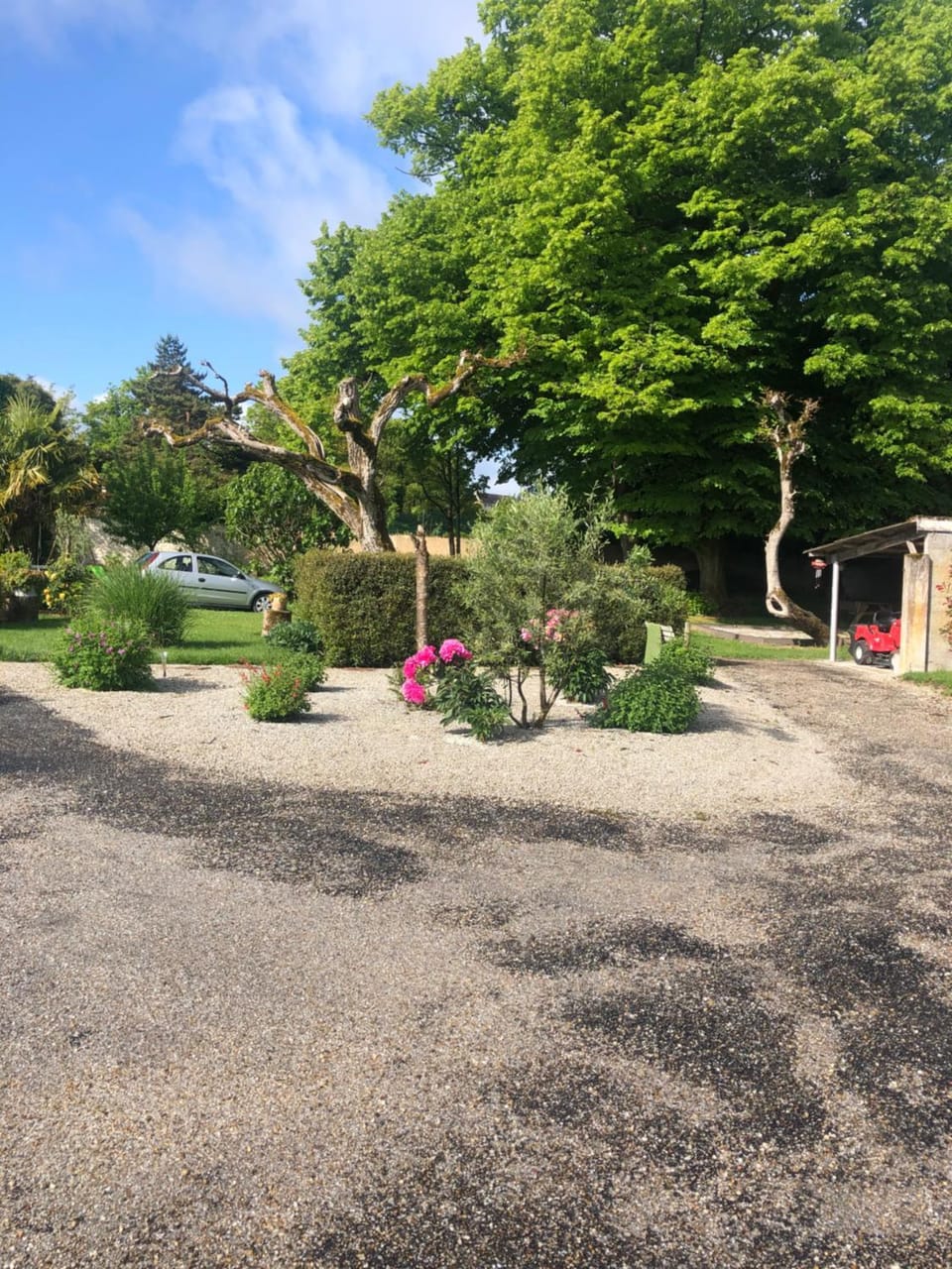 Garden view