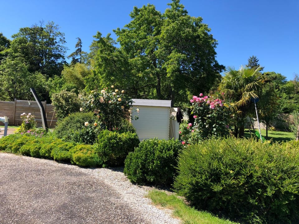 Garden, Garden view