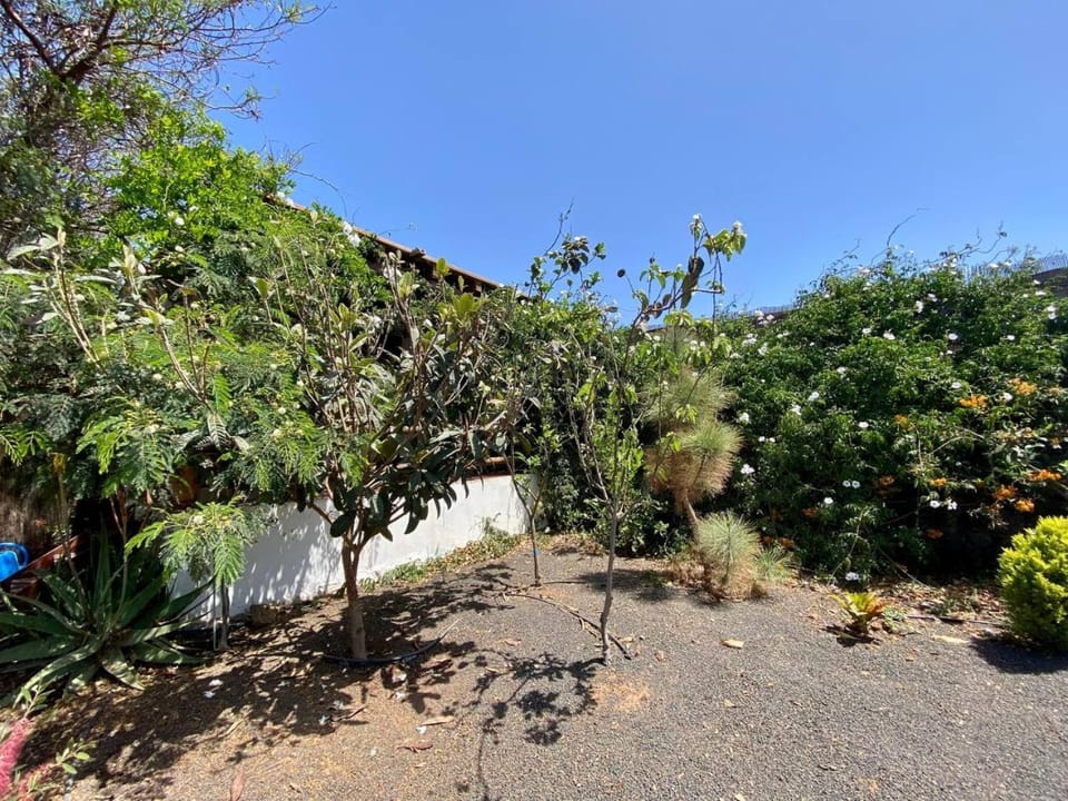 BBQ facilities, Garden, Mountain view
